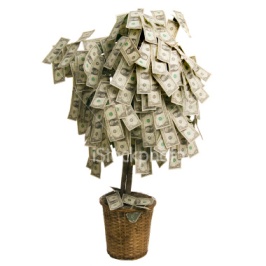 money-tree